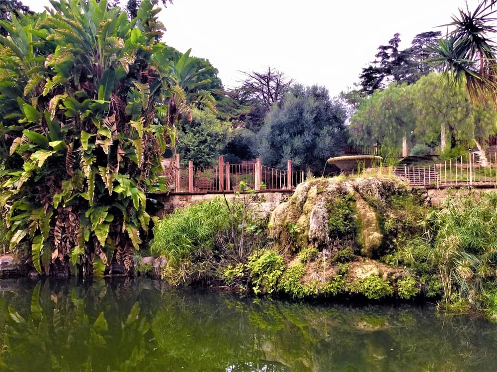 One of the garden ponds, edged with banana palms and mossy rock, reflecting the trees above it
