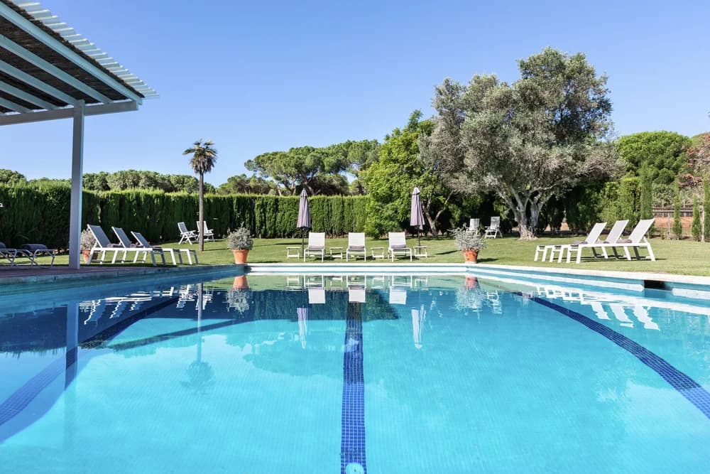 The villa's long outdoor pool, ringed by lawn, sun loungers, parasols and old olive trees